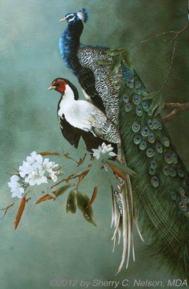 12.  Indian Peafowl & Silver Pheasant, 18" x 30", $395.00