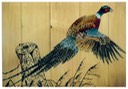 #12.Ring-necked Pheasant, 14"x18" - $6.00