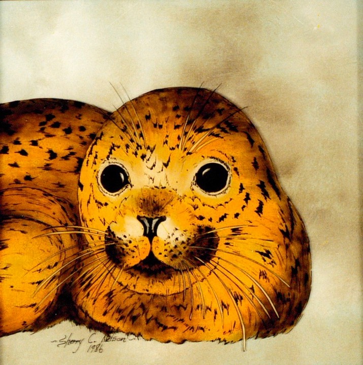 #14.Harbor Seal Pup, 8"x10" - $4.00