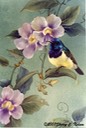 22. Sunbirds with Skyvine, 9" x 12", $195.00