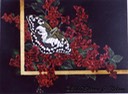 23. Checquered Swallowtail, 10" x 8", $155.00