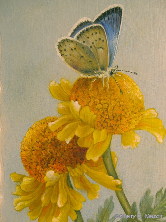 29. Greenish Blue with Wild Marigolds, 8" x 10", $135.00