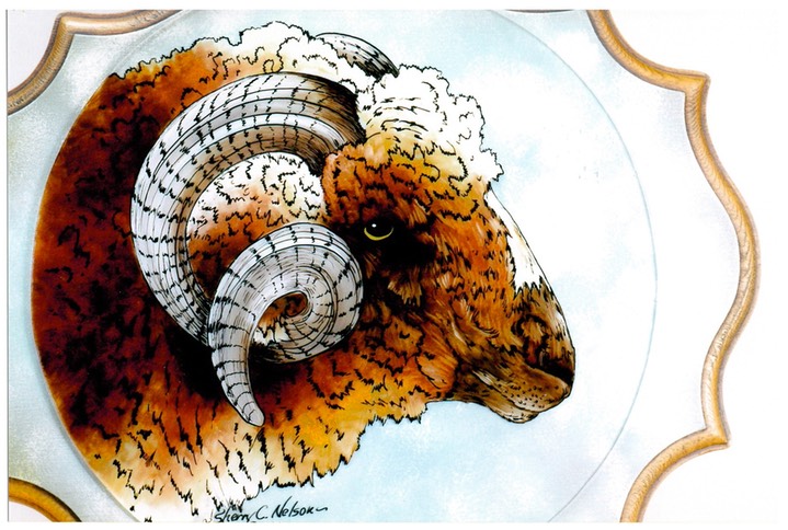 #29.John's Ram, 11"x14" - $4.00