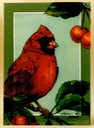 #38.Northern Cardinal, 5"x7" - $3.00