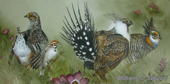 4.  Three Grouse and Lark Sparrow, 20" x 10" - $295.00