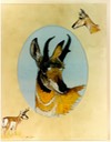 #40.Pronghorn Antelope, 16"x20" - $8.00