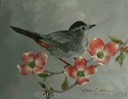 41. Grey Catbird, 10" x 8" - $145.00