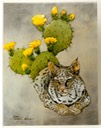 #46.Bobcat & Prickly Pear, 14"x18" - $7.00