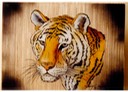 #47.Siberian Tiger, 12"x16" - $5.00