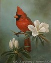 48. Northern Cardinal with Azaleas, 8" x 10" - $145.00