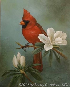 48. Northern Cardinal with Azaleas, 8" x 10" - $145.00