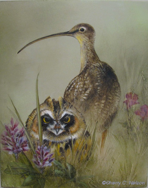 5.  Long-billed Curlew & Owl, 8" x 10" - $145.00