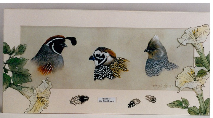 #50.Southwest Quail w: Datura, 20"x10" - $8.00