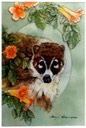 #53.Coati in the Creeper, 11"x14" - $5.00