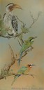 7.  Yellow-billed Hornbill & Bee-eaters, 10" x 20" - $235.00