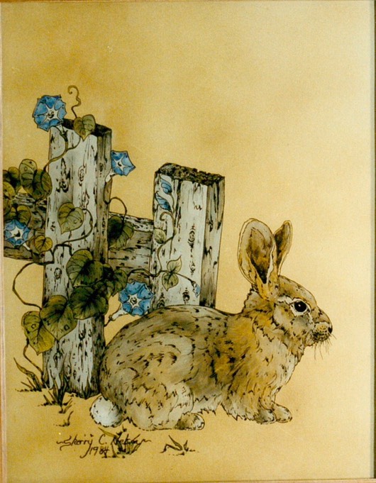 #7.Cottontail & Morning Glories, 11"x14" - $5.00