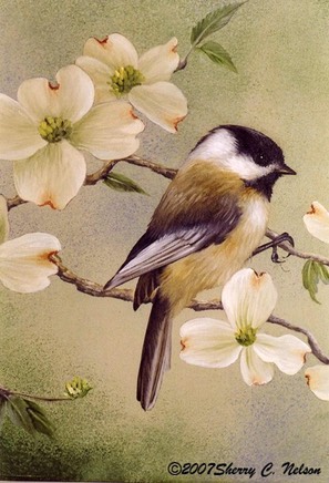 Black-capped Chickadee with Dogwood. 8"x10". $7.00