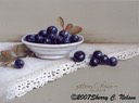 Blueberries & Old Lace                 10"x 8". $8.00