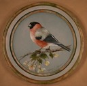 Eurasian Bullfinch on Wood Plate  10"diameter $6.00