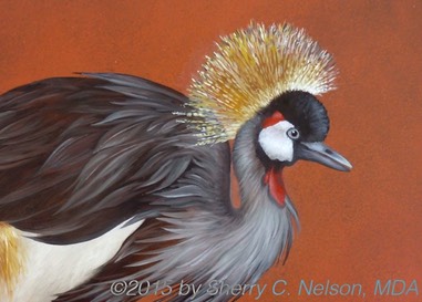 *Grey Crowned Crane - Version 2wtmk