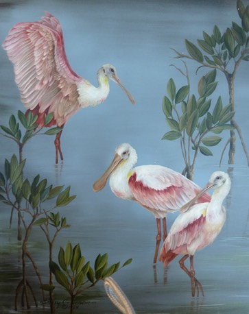 Roseate Spoonbills, 16" x 20" $14.00